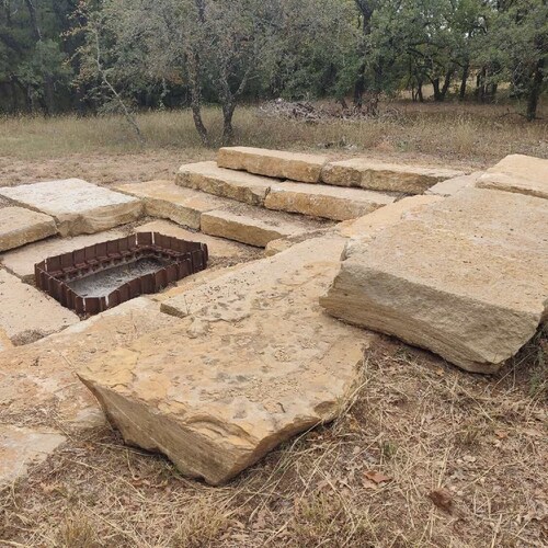 7 Hico Glamping Petting Zoo Campfire Fossil Rim