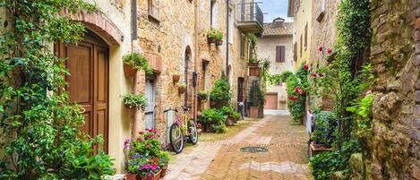 Apartment | 1 Schlafzimmer