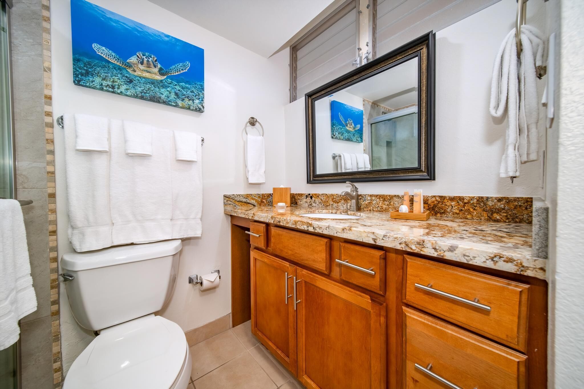 Sèche-cheveux, serviettes fournies, savon, shampoing