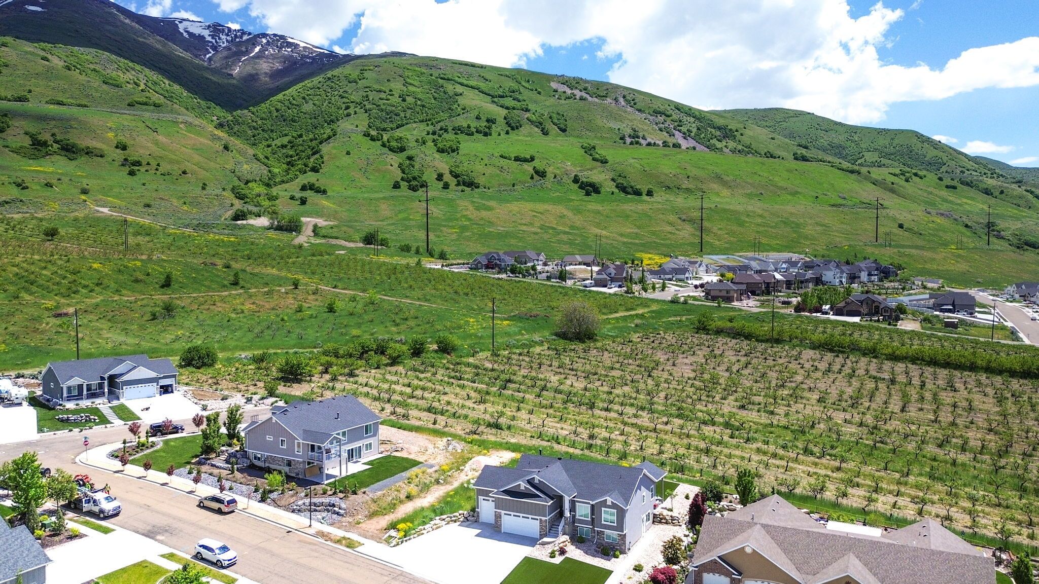 A residential area with houses and vineyards, surrounded by green hills and mountains.