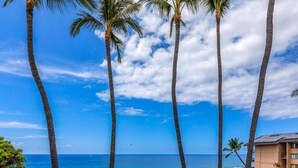 A coastal scene with tall palm trees, a clear blue sky, and a building with a flat roof near the water.