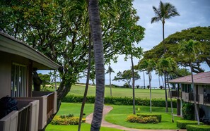 Property grounds - Kaanapali Maui Eldorado H206 Partial Ocean 1 BD (Lahaina)