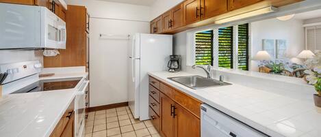 Fridge, oven, stovetop, dishwasher