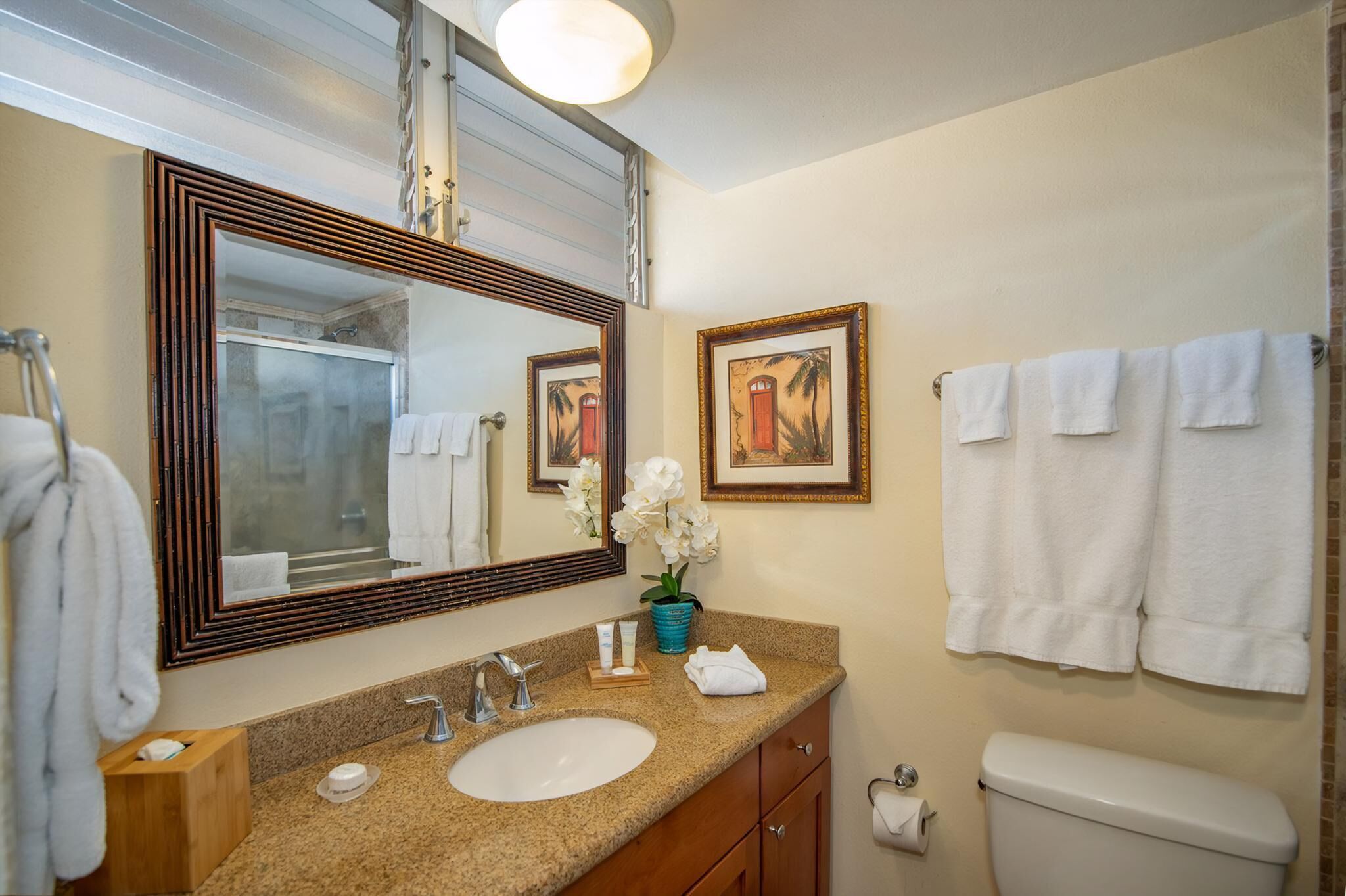 Hair dryer, towels, soap, shampoo