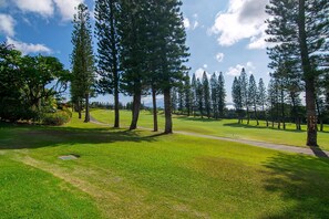 Golf - Kapalua Golf Villas Gold Ocean View 2 Bedroom (Lahaina)