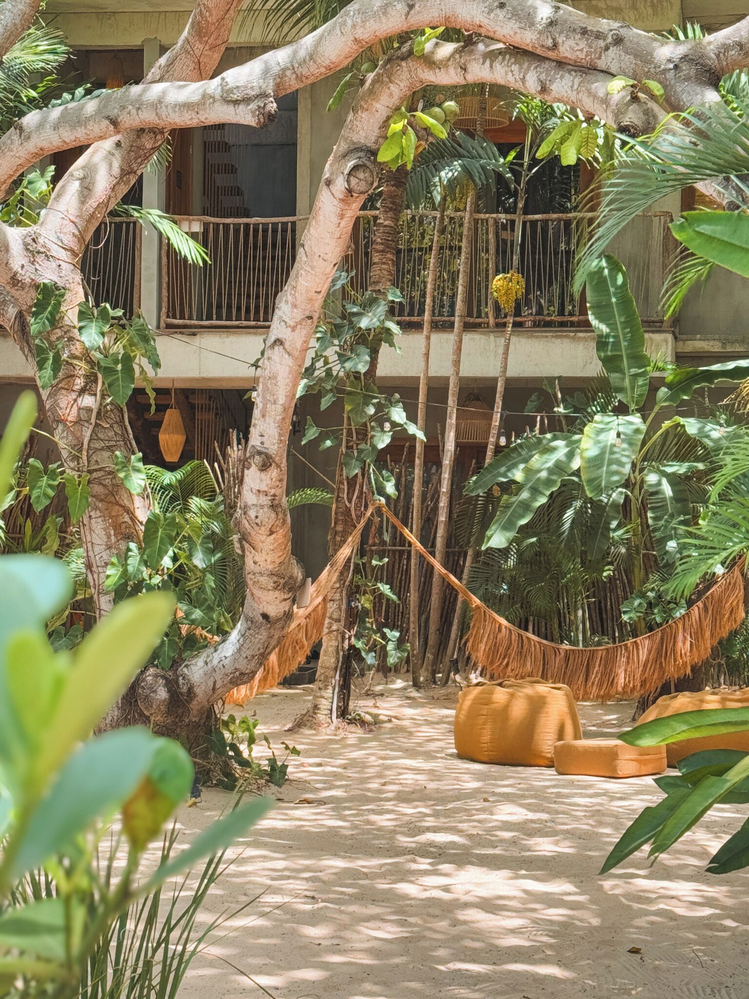 Una hamaca en un jardín exuberante, con un edificio al fondo.