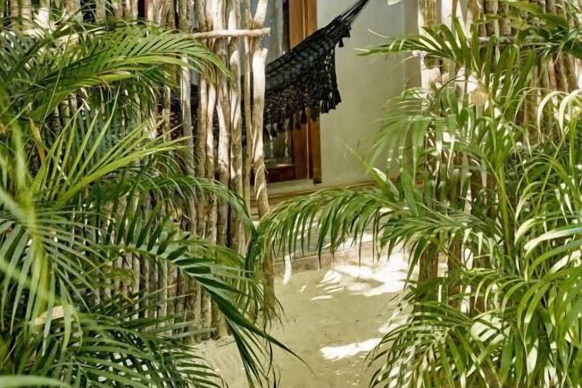 Un jardin tropical intérieur, avec différentes plantes et un hamac.