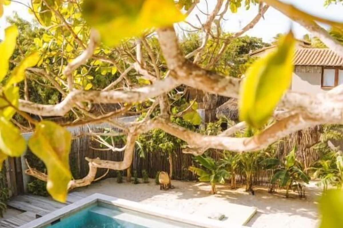 Suite, Garden Area (Q1) | 1 bedroom, in-room safe, free WiFi