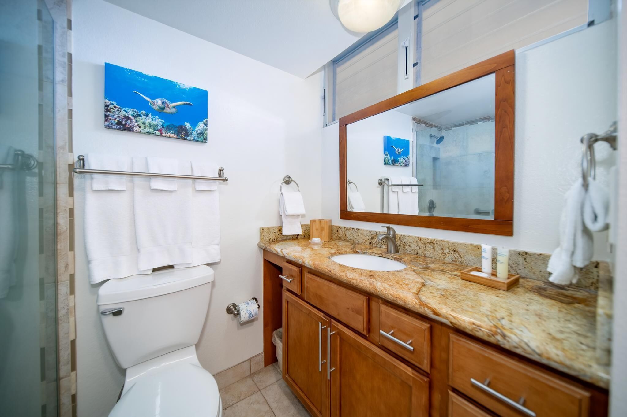 Hair dryer, towels, soap, shampoo