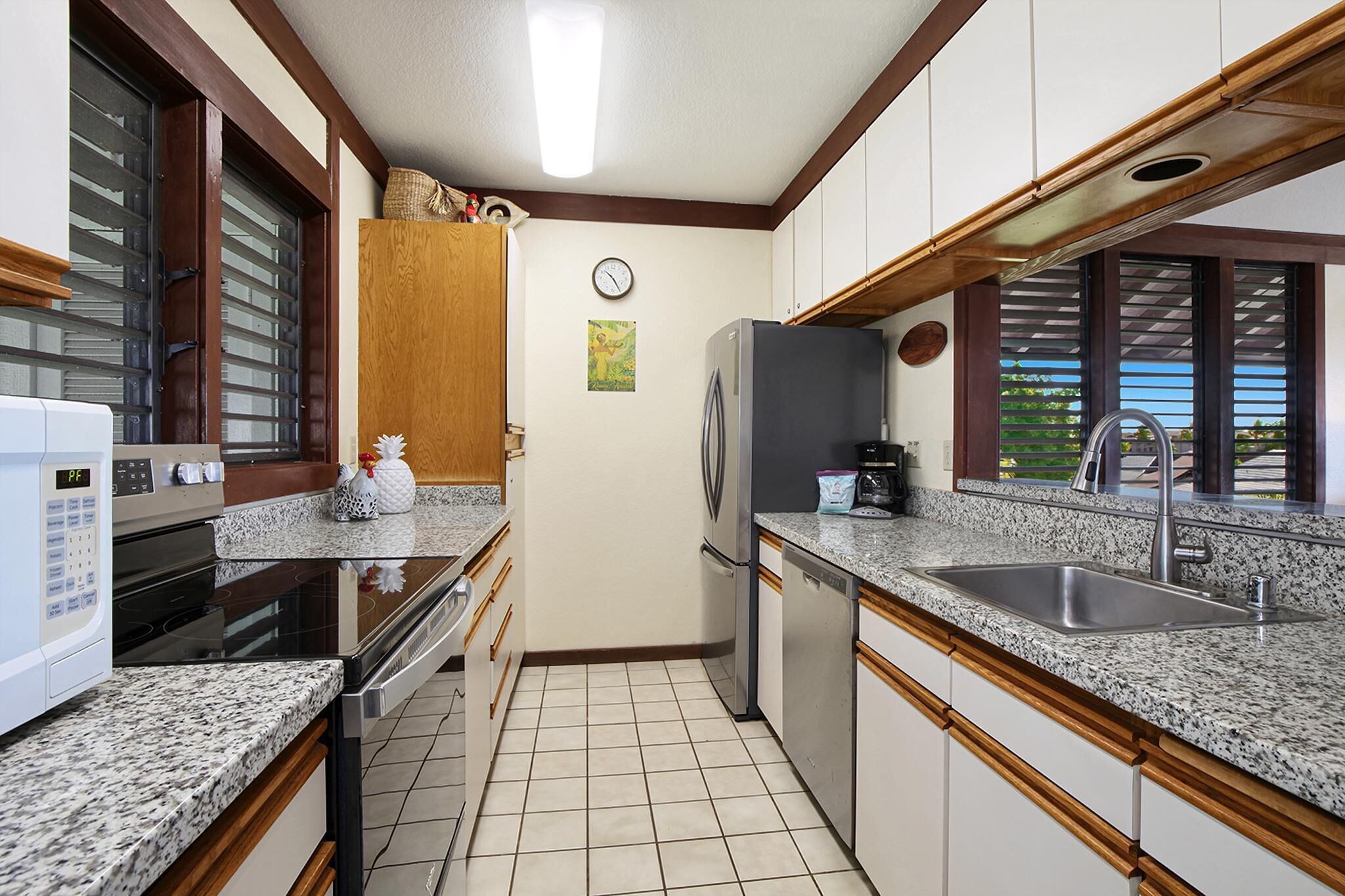 Fridge, oven, stovetop, dishwasher