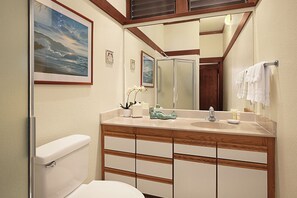 Hair dryer, towels, soap, shampoo