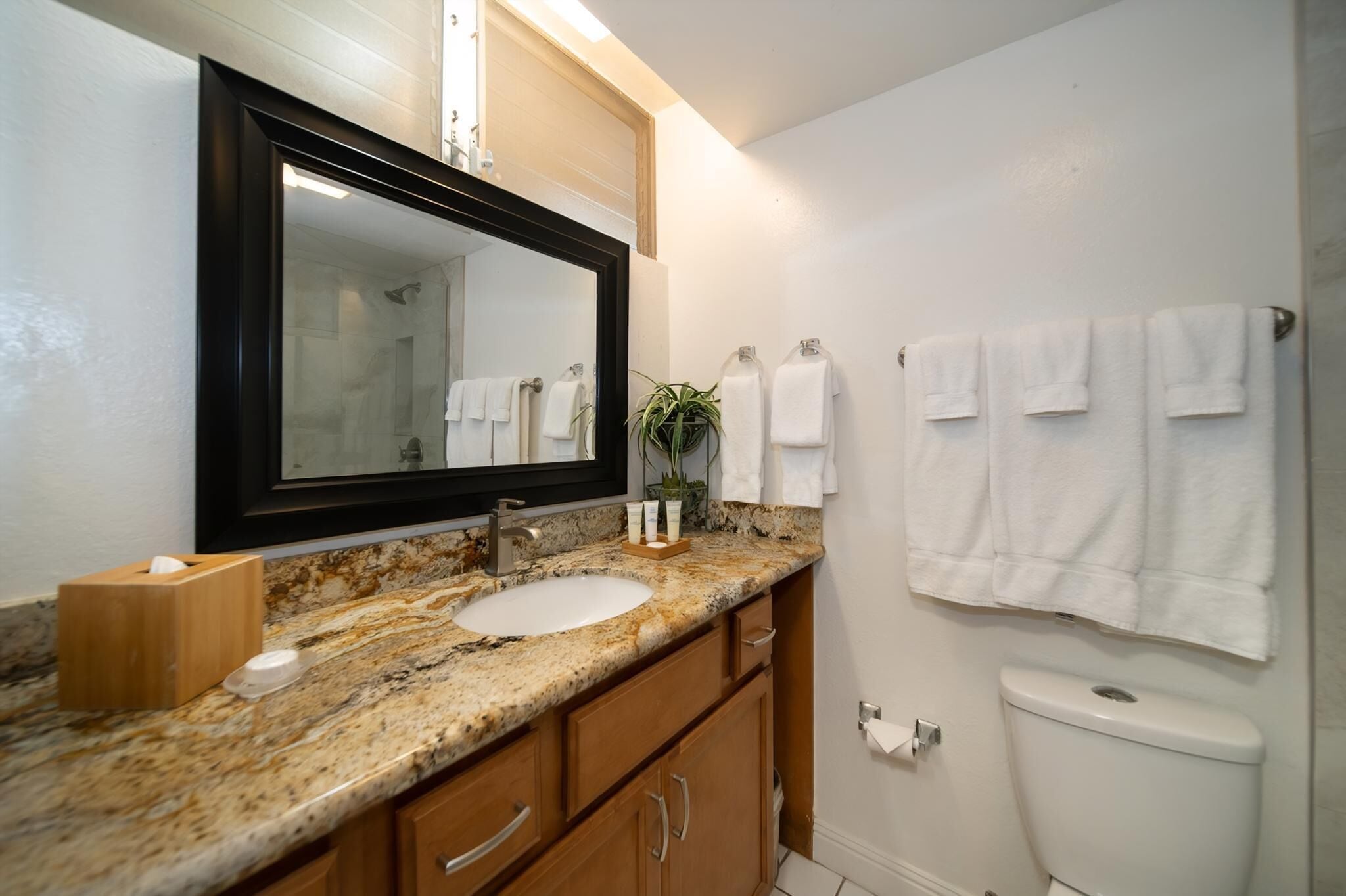 Hair dryer, towels, soap, shampoo