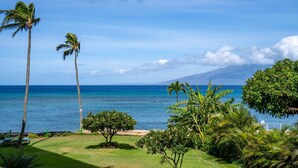 A tropical beach view with palm trees and a clear sky.