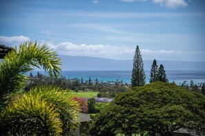 Imagen sin descripción, 2 de 14, botón