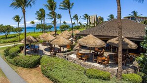 Ein Resort mit überdachten Sitzbereichen mit Strohdach, Palmen und Blick auf das Meer.