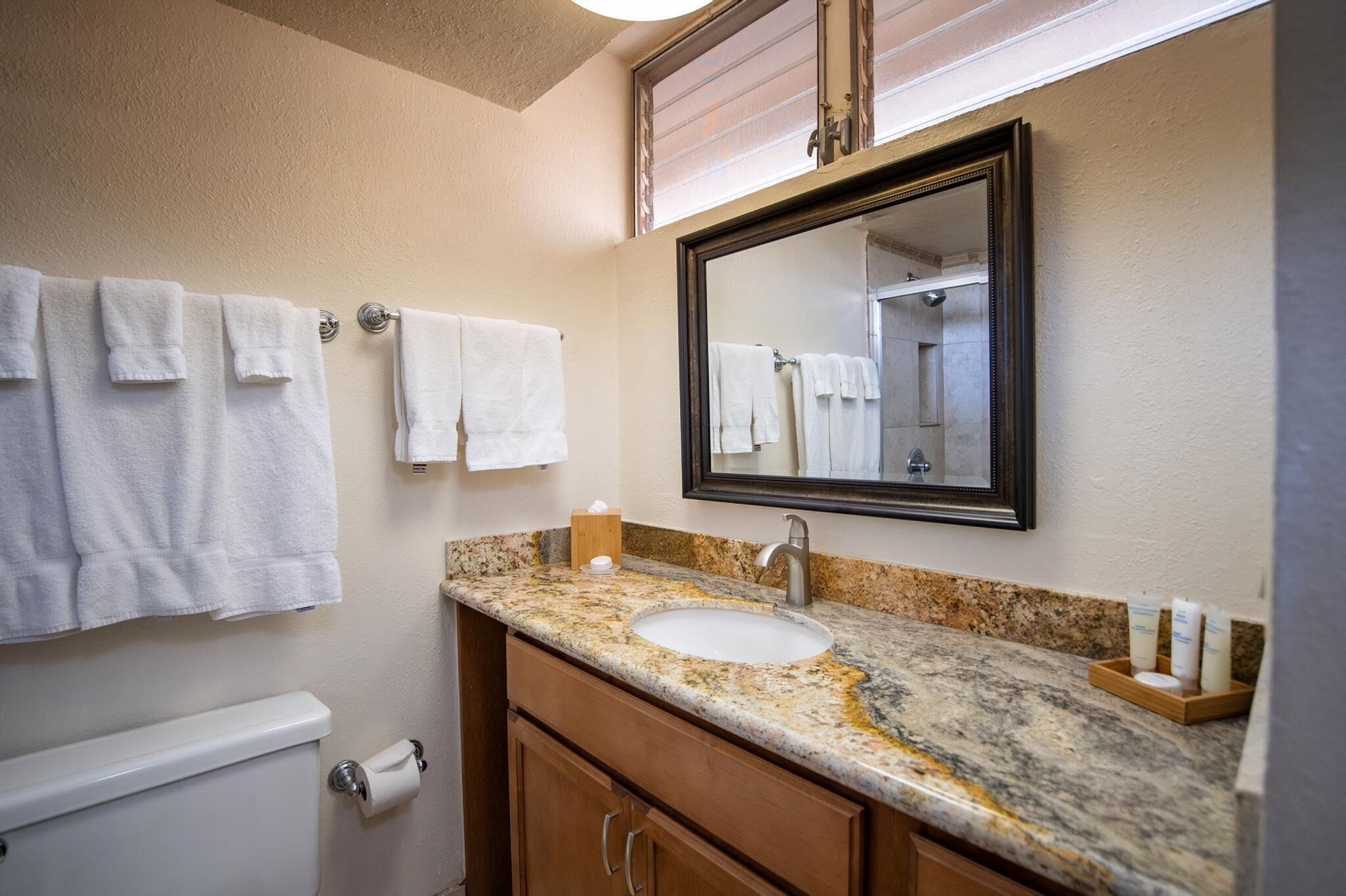 Hiustenkuivaaja, pyyhkeet, saippua, sampoo