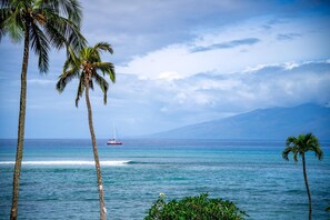 A coastal scene with palm trees, a sailboat, and a mountain in the background.