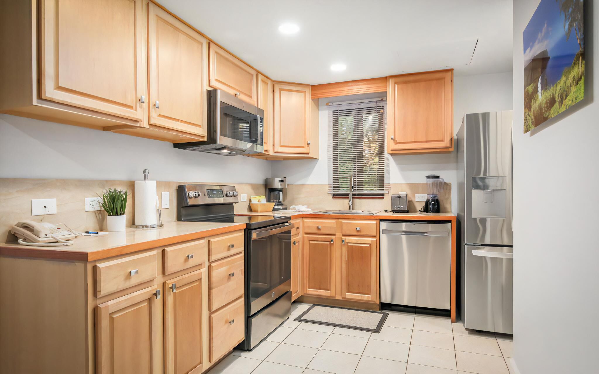 Fridge, oven, stovetop, dishwasher