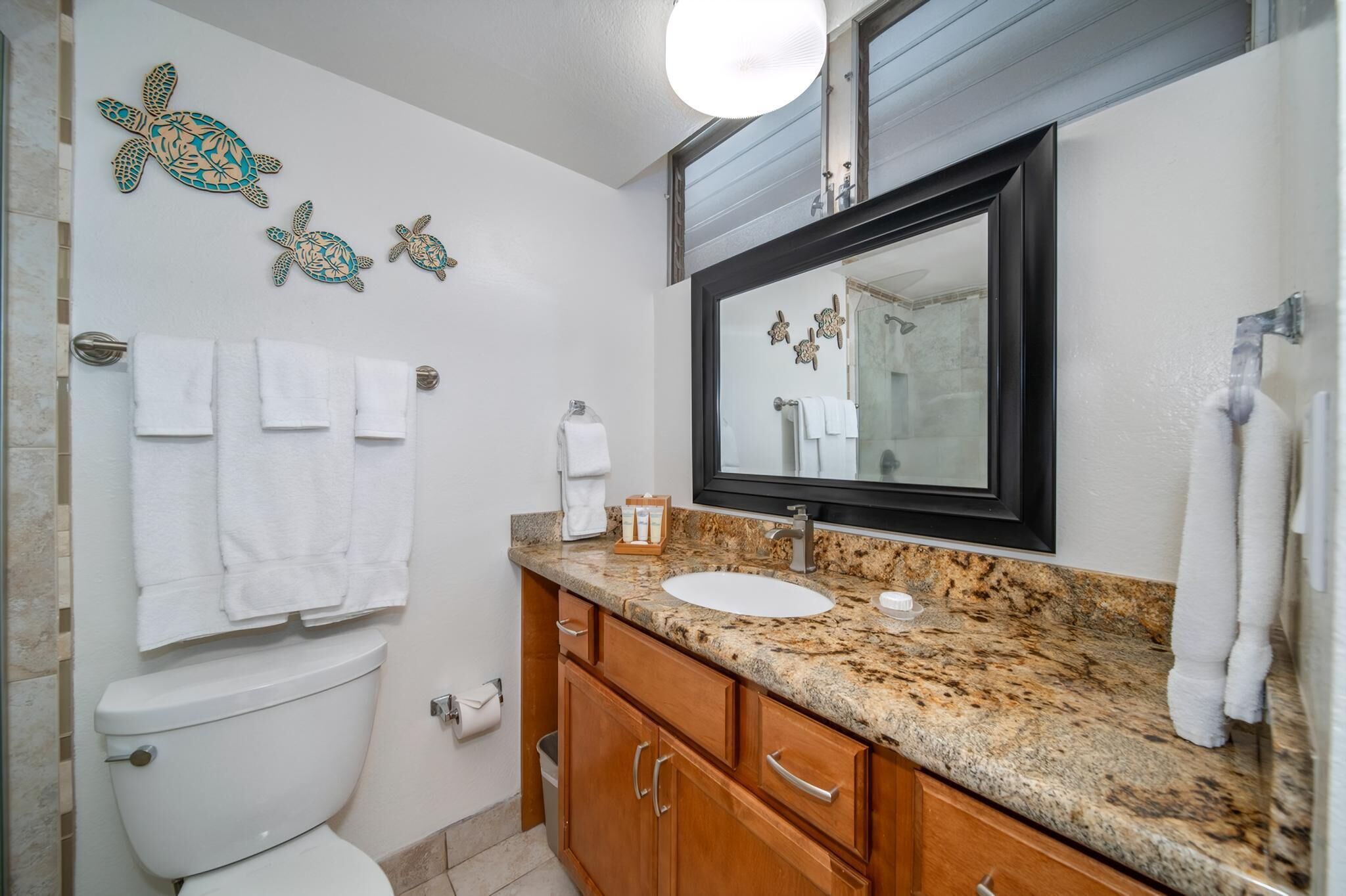 Hair dryer, towels, soap, shampoo