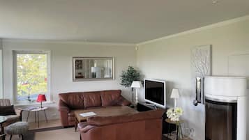 TV connectée, cheminée
