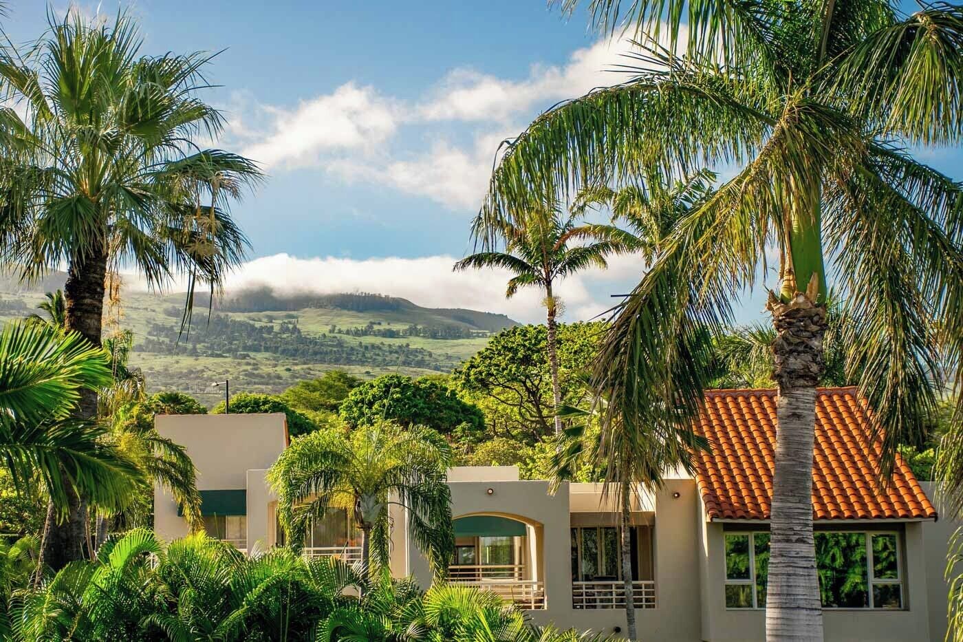 A resort with palm trees, a mountain view, and a building with a red-tiled roof.