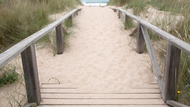 Un muelle de madera que lleva a una playa arenosa, con césped a ambos lados.