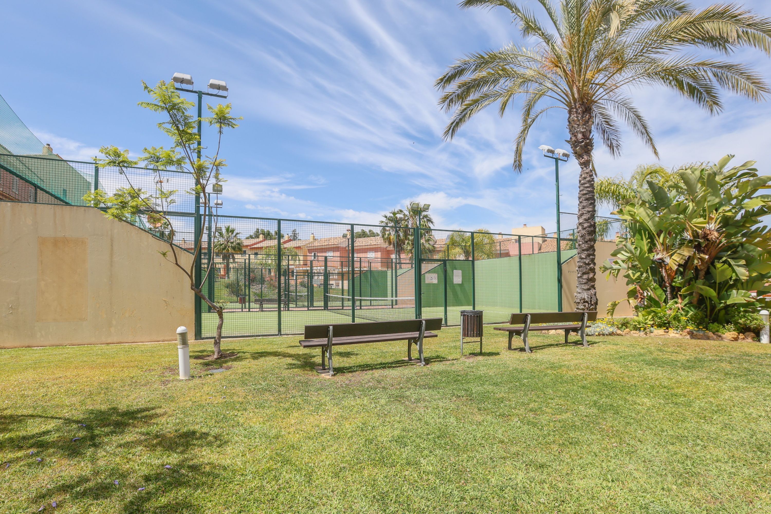 Un campo da tennis recintato con panchine e palme.