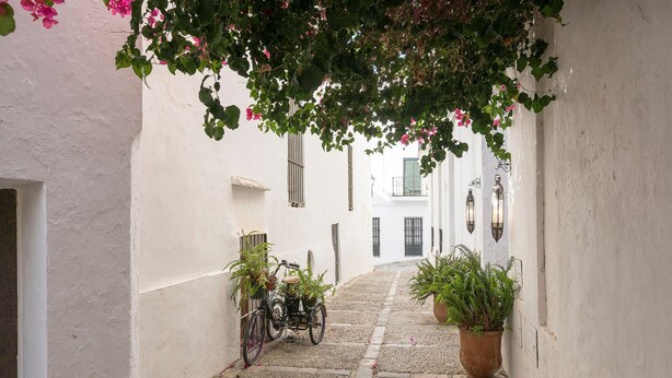 A narrow cobblestone street with white buildings, a bicycle, and potted plants. - Pura Vida in Vejer de la Frontera (Vejer de la Frontera)