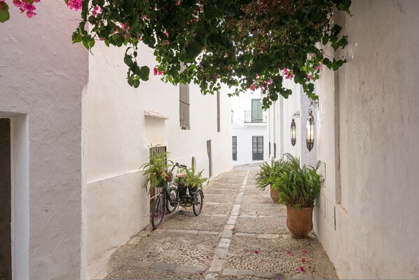 Apartment | 1 bedroom - Pura Vida in Vejer de la Frontera (Vejer de la Frontera)
