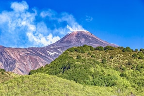 A mountain with a clear sky and a forested hill in the foreground. - Villa With Volcano View (Zafferana Etnea)