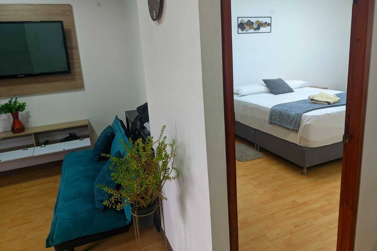 A room with a bed, a TV mounted on the wall, a potted plant, and a wooden floor.