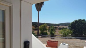 Blick vom Balkon auf einen wolkenlosen Himmel, eine Palme und sanfte Hügel in der Ferne.