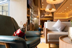 Pet-friendly