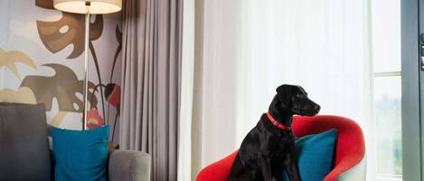 外觀