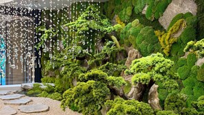 A room with a ceiling adorned with hanging crystal ornaments, a moss-covered wall, and a rock garden with stepping stones. - Rue de L'amour Boutique Hotel (Hanoi)