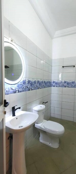 Shower, hair dryer, soap, toilet paper