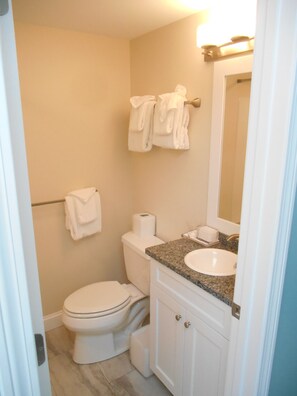 Hair dryer, towels, soap, shampoo