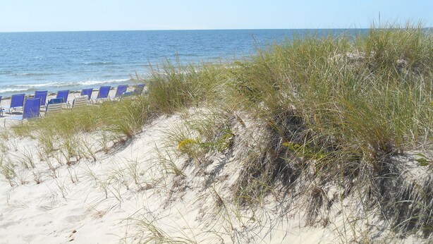 Een strand met blauwe stoelen en duinen.