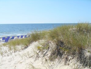 On the beach
