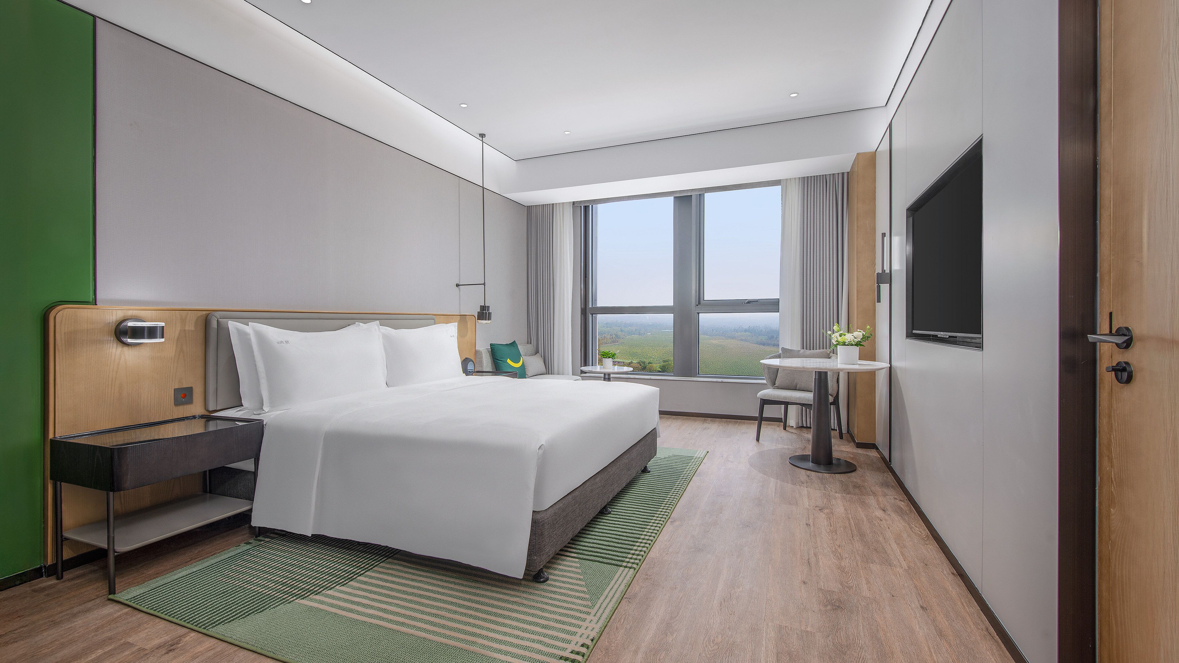 A modern hotel room with a large bed, a small table with a plant, a TV, and a view of the countryside.