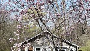 Une petite cabane blanche avec un porche, entourée d’arbres en fleurs aux teintes roses.
