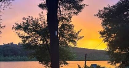 Sun Filled Lake House Living