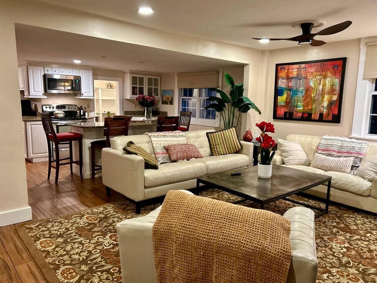 TV