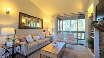 TV, fireplace, DVD player, books