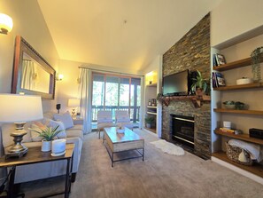 TV, fireplace, DVD player, books