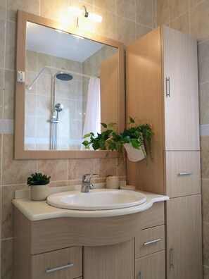 淋浴设施、吹风机、毛巾、肥皂