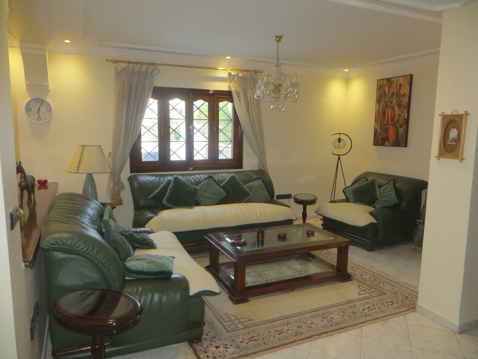 TV, DVD player, books, music library