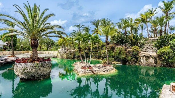 A tranquil pool area surrounded by palm trees and lush greenery. - Farmhouse Oasis Retreat in Homestead (Homestead)
