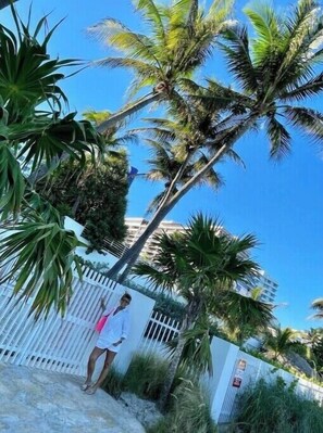 Guests can enjoy a serene outdoor setting surrounded by palm trees and a residential area.