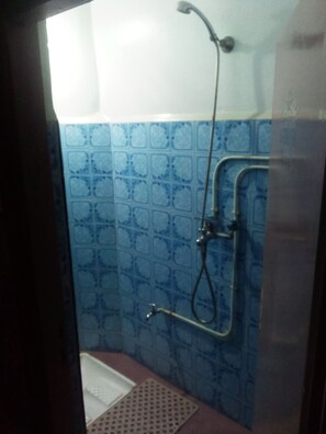 Shower, towels, toilet paper